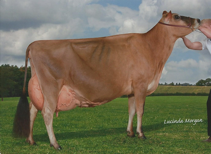 Bluegrass Charlies Happiest